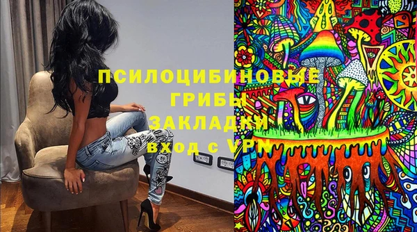 Альфа ПВП Аркадак