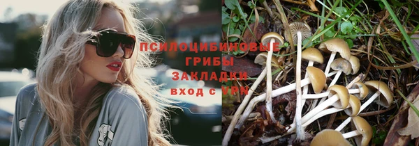 прущая мука Алексеевка