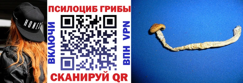 Галлюциногенные грибы мицелий  дарнет шоп  Удомля 