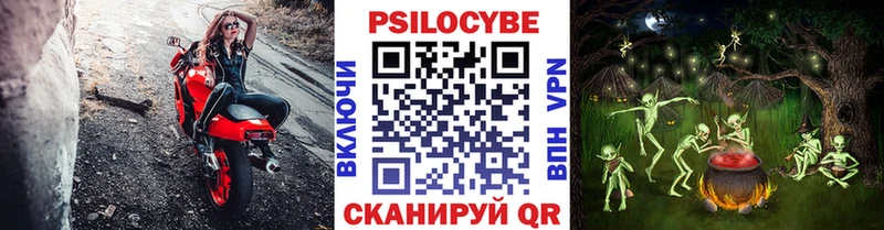 Галлюциногенные грибы Psilocybine cubensis Удомля