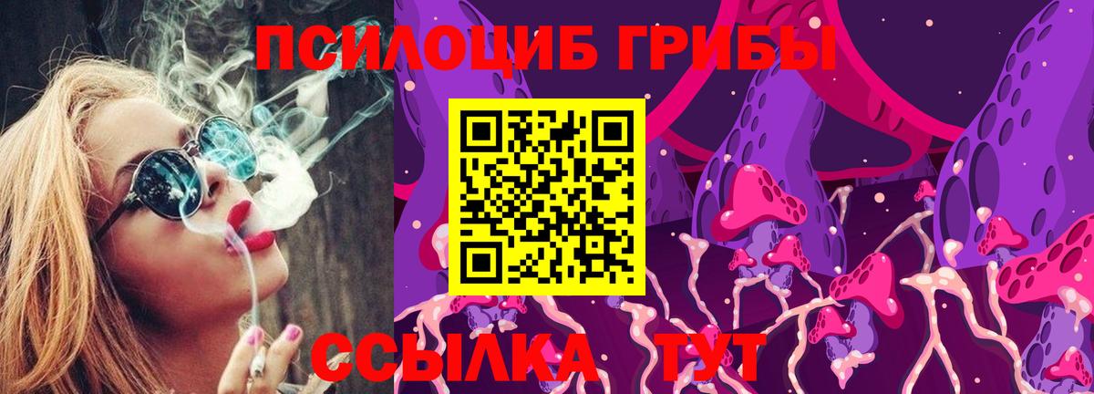 как найти закладки  Вход с VPN  Галлюциногенные грибы MAGIC MUSHROOMS  Удомля  Галлюциногенные грибы мицелий 