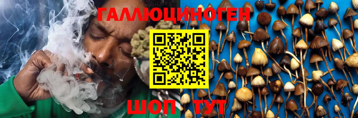 Галлюциногенные грибы Cubensis Удомля
