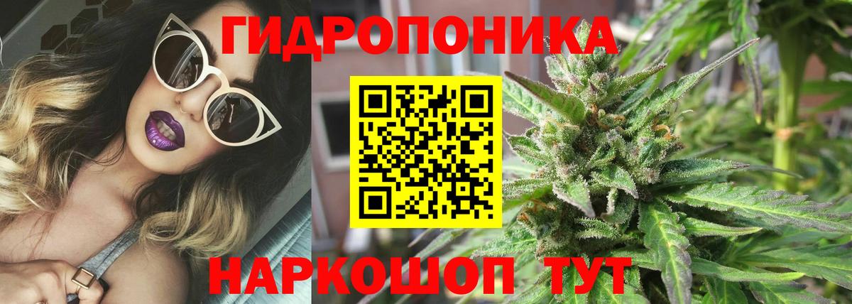 Конопля White Widow  МАРИХУАНА семена  Удомля  Каннабис гибрид  Вход с VPN 